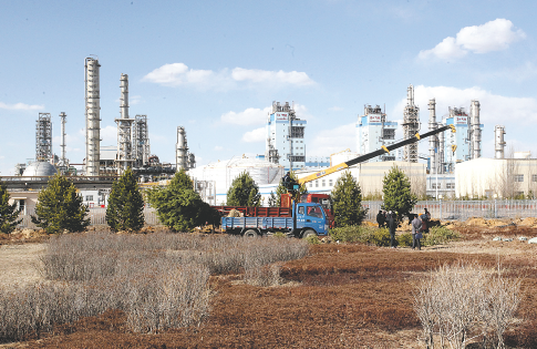 懂球体育足球赛事